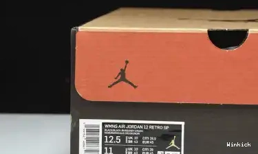 RETRO SP Jordan Air DV6989-001 WMNS AJ12 12 0603